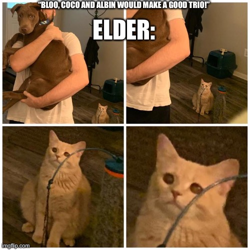Poor Elder though.. | “BLOO, COCO AND ALBIN WOULD MAKE A GOOD TRIO!”; ELDER: | image tagged in sad cat dog hold | made w/ Imgflip meme maker