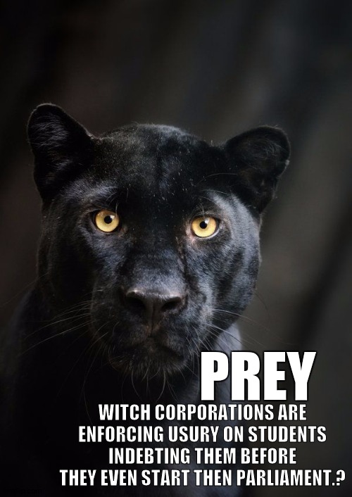 PREY; WITCH CORPORATIONS ARE ENFORCING USURY ON STUDENTS INDEBTING THEM BEFORE THEY EVEN START THEN PARLIAMENT.? | image tagged in questions,banks,pray,the great awakening,so it begins | made w/ Imgflip meme maker