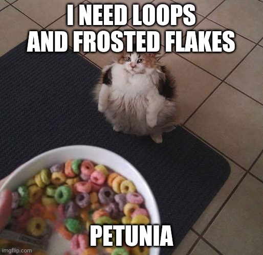 Loops Brother | I NEED LOOPS AND FROSTED FLAKES PETUNIA | image tagged in loops brother | made w/ Imgflip meme maker