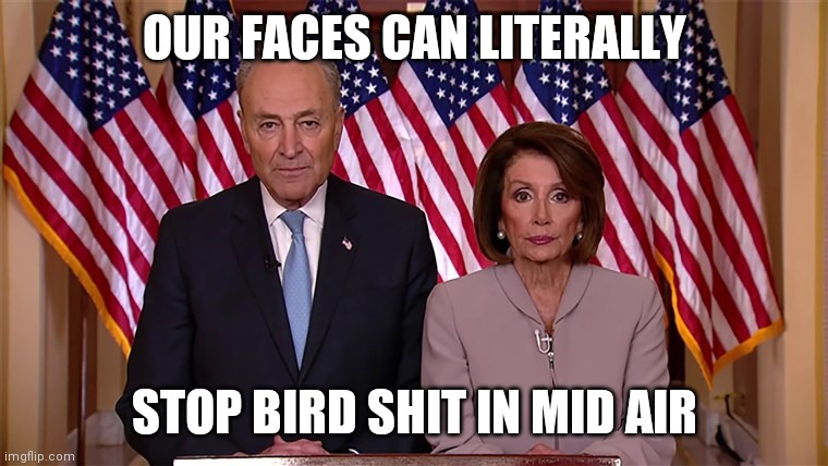 yup | OUR FACES CAN LITERALLY; STOP BIRD SHIT IN MID AIR | image tagged in pelosi and schumer | made w/ Imgflip meme maker