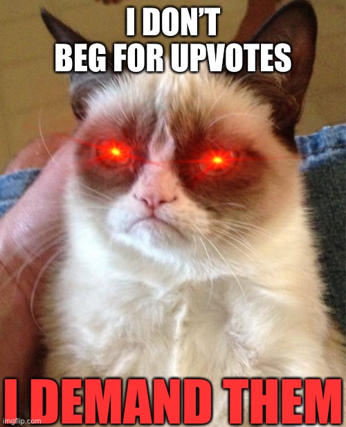 Grumpy Cat | I DON’T BEG FOR UPVOTES; I DEMAND THEM | image tagged in memes,grumpy cat | made w/ Imgflip meme maker