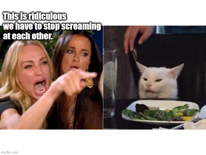 stop screaming | This is ridiculous
we have to stop screaming
at each other. | image tagged in incivility,yelling,shouting,screaming | made w/ Imgflip meme maker