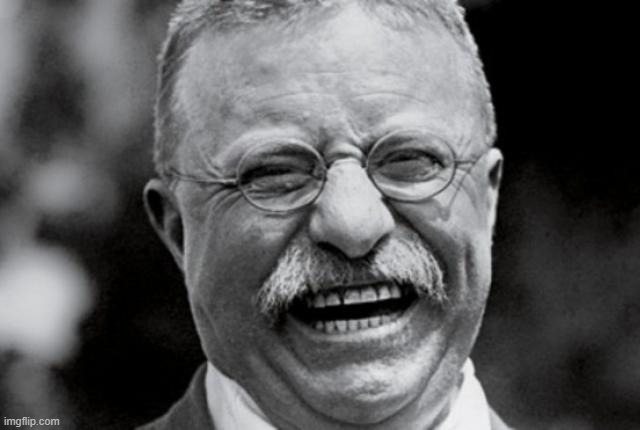 Teddy Roosevelt Laugh | image tagged in teddy roosevelt laugh | made w/ Imgflip meme maker