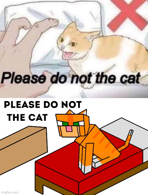 Please do not the cat- minecraft drawing | image tagged in minecraft,drawing,funny,surreal,cat | made w/ Imgflip meme maker
