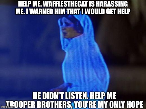 help me obi wan | HELP ME. WAFFLESTHECAT IS HARASSING ME. I WARNED HIM THAT I WOULD GET HELP; HE DIDN’T LISTEN. HELP ME TROOPER BROTHERS, YOU’RE MY ONLY HOPE | image tagged in help me obi wan | made w/ Imgflip meme maker