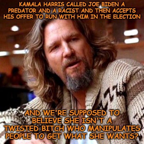 She is not a moderate and anyone who tells you she is, is a lying dog-faced pony soldier. | KAMALA HARRIS CALLED JOE BIDEN A PREDATOR AND A RACIST AND THEN ACCEPTS HIS OFFER TO RUN WITH HIM IN THE ELECTION; AND WE'RE SUPPOSED TO BELIEVE SHE ISN'T A TWISTED BITCH WHO MANIPULATES PEOPLE TO GET WHAT SHE WANTS? | image tagged in memes,confused lebowski | made w/ Imgflip meme maker