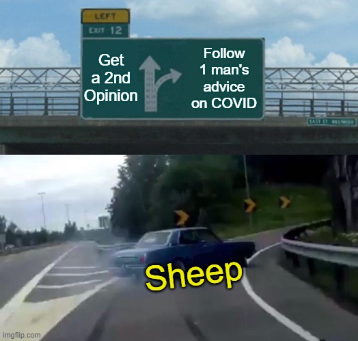 2nd Opinion | Get a 2nd Opinion; Follow 1 man's advice on COVID; Sheep | image tagged in memes,left exit 12 off ramp | made w/ Imgflip meme maker