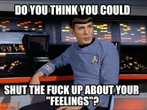 Spock | image tagged in spock,feelings | made w/ Imgflip meme maker