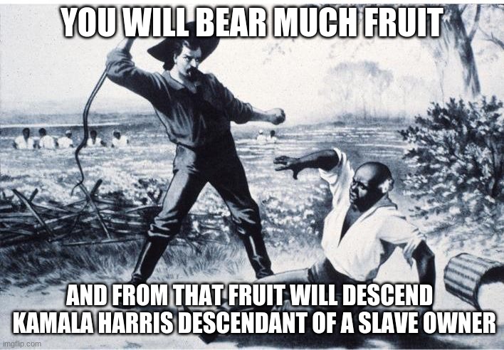 True Story | YOU WILL BEAR MUCH FRUIT; AND FROM THAT FRUIT WILL DESCEND 
 KAMALA HARRIS DESCENDANT OF A SLAVE OWNER | image tagged in slave | made w/ Imgflip meme maker