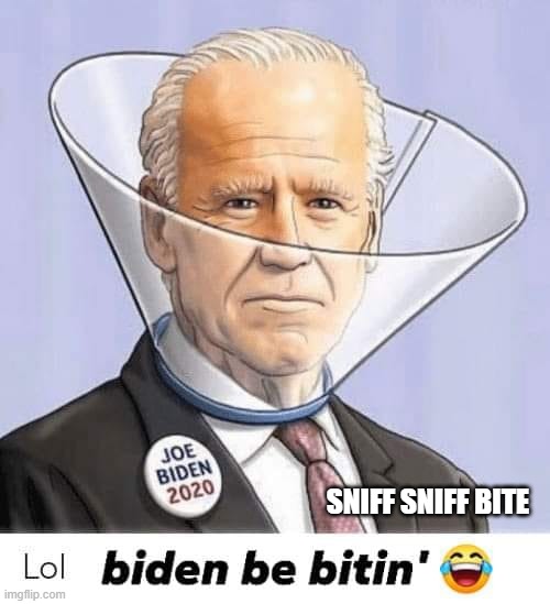 Biden Be Bitin |  SNIFF SNIFF BITE | image tagged in joe biden,biden,bite collar | made w/ Imgflip meme maker