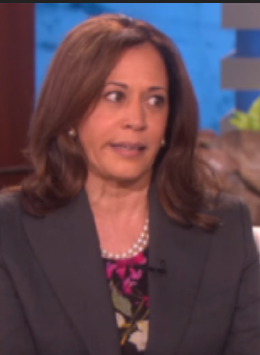 Kamala Harris Blank Meme Template