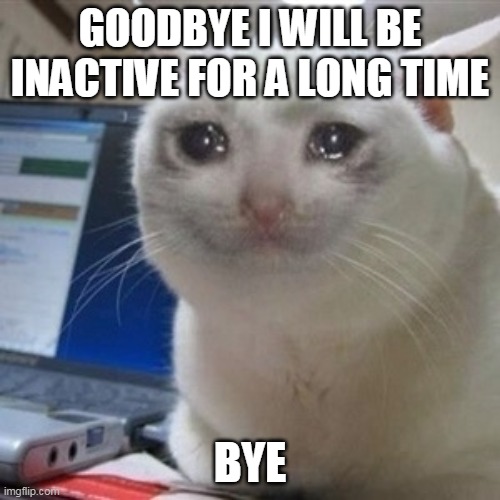 Crying cat | GOODBYE I WILL BE INACTIVE FOR A LONG TIME; BYE | image tagged in crying cat | made w/ Imgflip meme maker