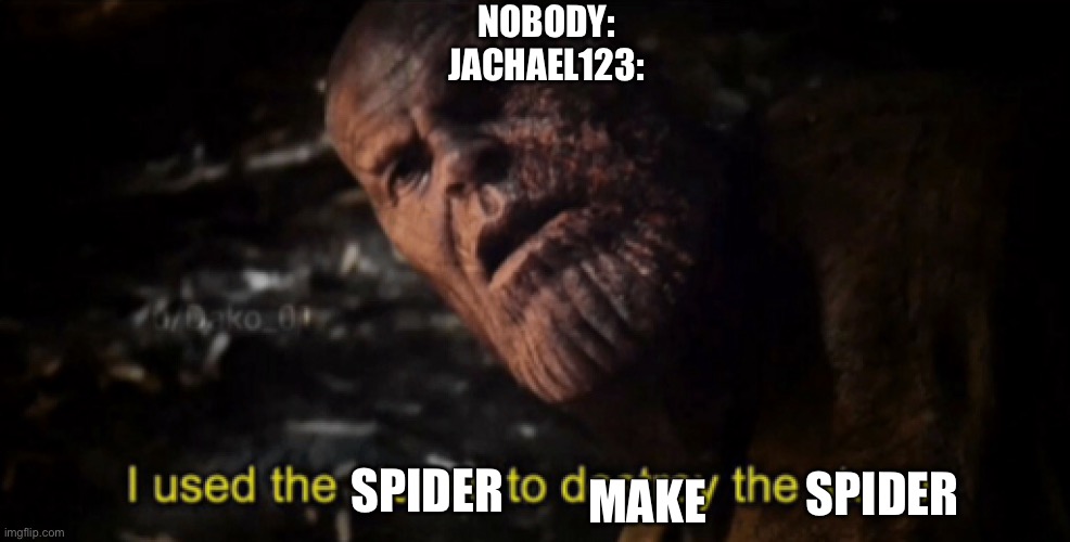 Jachael123 be like.. | NOBODY:
JACHAEL123:; SPIDER; MAKE; SPIDER | image tagged in i used the stones to destroy the stones | made w/ Imgflip meme maker