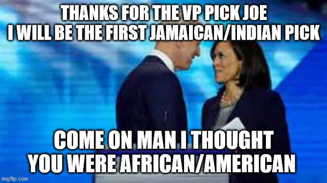 politics | THANKS FOR THE VP PICK JOE
I WILL BE THE FIRST JAMAICAN/INDIAN PICK; COME ON MAN I THOUGHT
YOU WERE AFRICAN/AMERICAN | image tagged in political meme | made w/ Imgflip meme maker