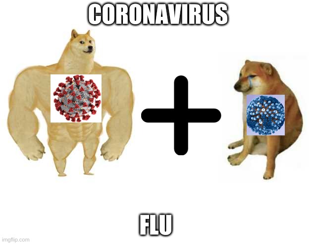 Buff Doge vs. Cheems | CORONAVIRUS; FLU | image tagged in strong doge weak doge | made w/ Imgflip meme maker