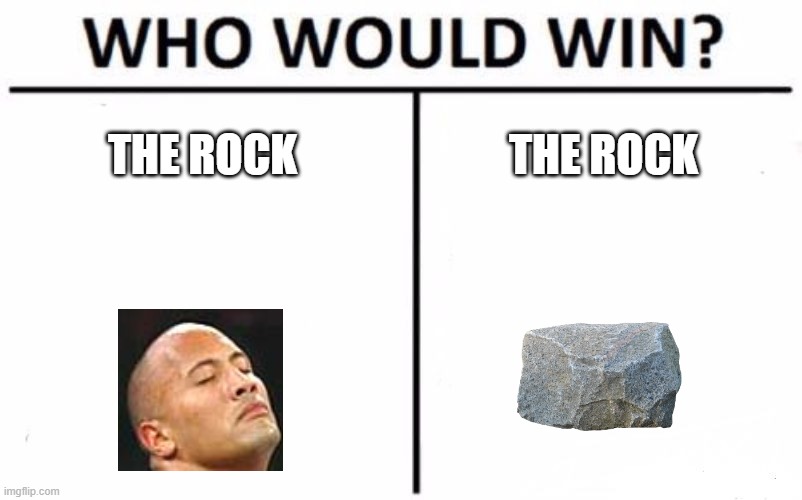 who? | THE ROCK; THE ROCK | image tagged in memes,who would win | made w/ Imgflip meme maker
