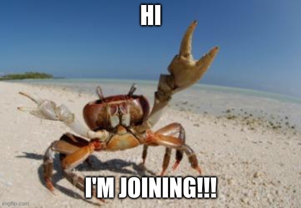 Crabz | HI; I'M JOINING!!! | image tagged in crab | made w/ Imgflip meme maker