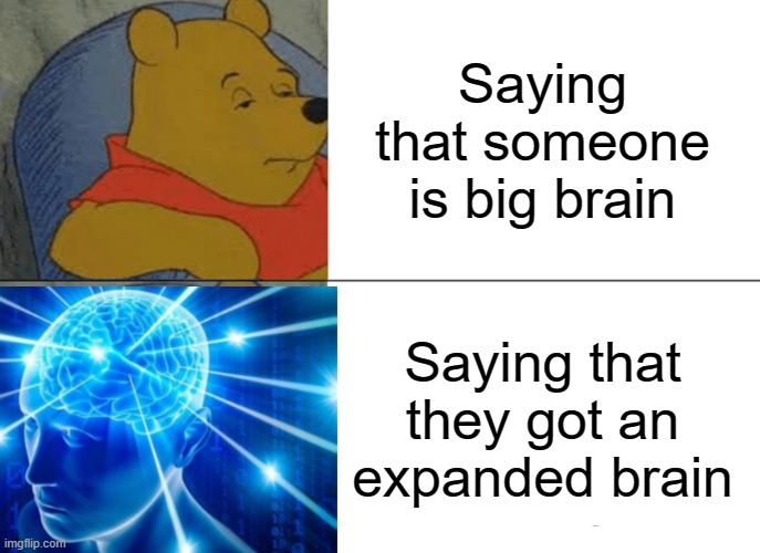 Tuxedo Winnie The Pooh | Saying that someone is big brain; Saying that they got an expanded brain | image tagged in memes,tuxedo winnie the pooh | made w/ Imgflip meme maker