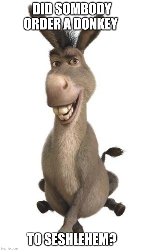 Donkey from Shrek | DID SOMBODY ORDER A DONKEY; TO SESHLEHEM? | image tagged in donkey from shrek,memes | made w/ Imgflip meme maker
