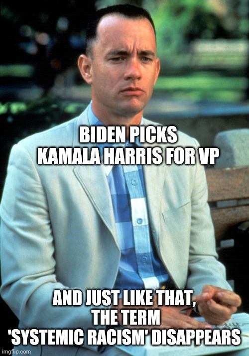 Where is Joe's Systemic Racism? | BIDEN PICKS KAMALA HARRIS FOR VP; AND JUST LIKE THAT,
 THE TERM
'SYSTEMIC RACISM' DISAPPEARS | image tagged in systemic,racism,joe biden,biden,election 2020,kamala | made w/ Imgflip meme maker