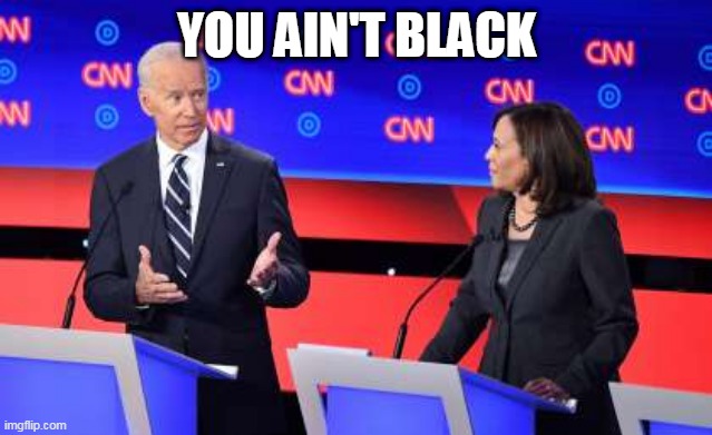 Drunky Joe Biden | YOU AIN'T BLACK | image tagged in joe biden,kamala harris,you ain't black | made w/ Imgflip meme maker