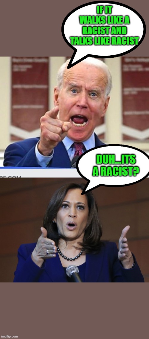 yep | IF IT WALKS LIKE A RACIST AND TALKS LIKE RACIST; DUH...ITS A RACIST? | image tagged in joe biden,kamala harris,democrats,2020 elections,racism | made w/ Imgflip meme maker