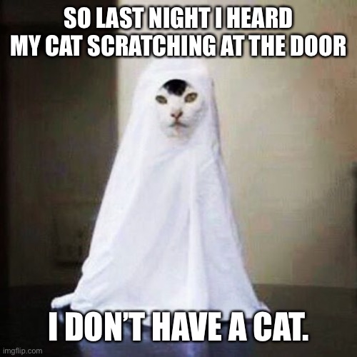 Ghost cat |  SO LAST NIGHT I HEARD MY CAT SCRATCHING AT THE DOOR; I DON’T HAVE A CAT. | image tagged in ghost cat | made w/ Imgflip meme maker