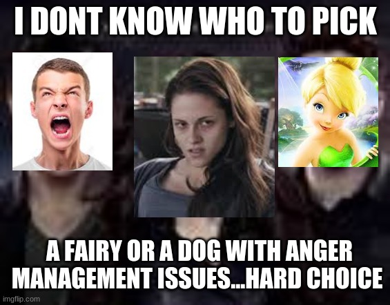 The Real Love Triangle Of Twilight | I DONT KNOW WHO TO PICK; A FAIRY OR A DOG WITH ANGER MANAGEMENT ISSUES...HARD CHOICE | image tagged in twilight | made w/ Imgflip meme maker