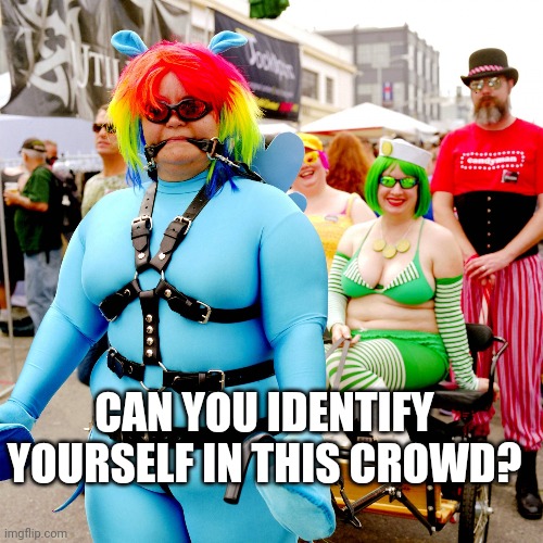 PoliticsTOO | CAN YOU IDENTIFY YOURSELF IN THIS CROWD? | image tagged in politicstoo | made w/ Imgflip meme maker