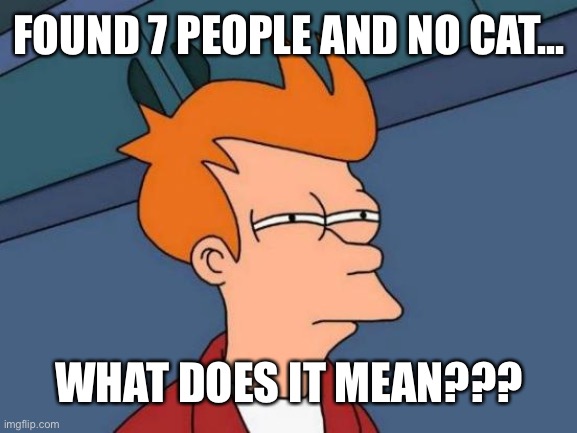 Futurama Fry Meme | FOUND 7 PEOPLE AND NO CAT... WHAT DOES IT MEAN??? | image tagged in memes,futurama fry | made w/ Imgflip meme maker