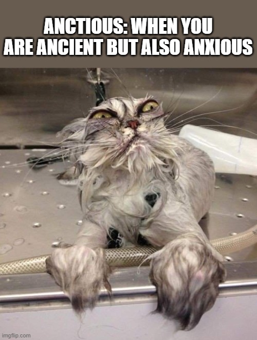 Anctious | ANCTIOUS: WHEN YOU ARE ANCIENT BUT ALSO ANXIOUS | image tagged in anxiety,soaking cat,mental health | made w/ Imgflip meme maker