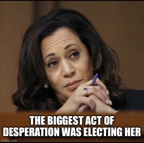 Kamala Harris  | THE BIGGEST ACT OF DESPERATION WAS ELECTING HER | image tagged in kamala harris | made w/ Imgflip meme maker