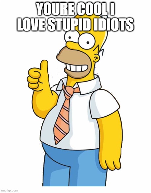 homer thumbs up | YOURE COOL I LOVE STUPID IDIOTS | image tagged in homer thumbs up | made w/ Imgflip meme maker