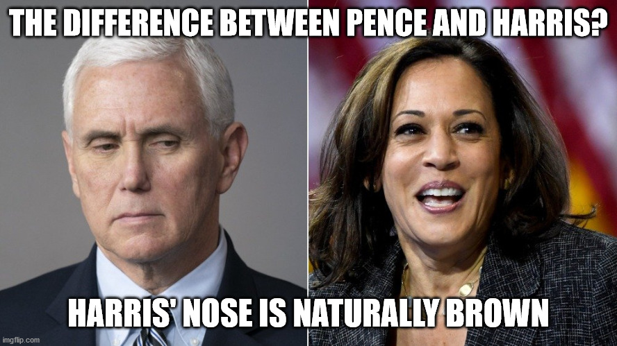 Pence and Harris Nose | THE DIFFERENCE BETWEEN PENCE AND HARRIS? HARRIS' NOSE IS NATURALLY BROWN | image tagged in pence,harris,brown nose | made w/ Imgflip meme maker