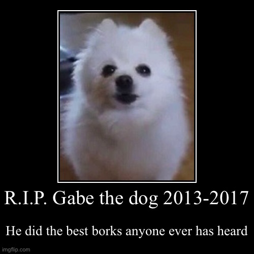 when did gabe the dog pass away