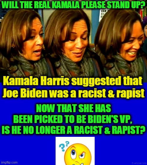 Or, Is He Just a Rambling, Run-Down, Radical Regressive? | WILL THE REAL KAMALA PLEASE STAND UP? Kamala Harris suggested that 

Joe Biden was a racist & rapist; NOW THAT SHE HAS BEEN PICKED TO BE BIDEN'S VP, 

IS HE NO LONGER A RACIST & RAPIST? | image tagged in politics,political meme,joe biden,kamala harris,democratic socialism | made w/ Imgflip meme maker