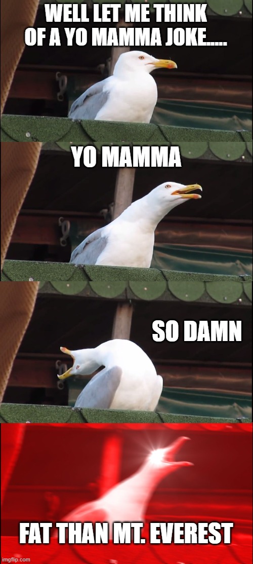 Yo Mamma meme | WELL LET ME THINK OF A YO MAMMA JOKE..... YO MAMMA; SO DAMN; FAT THAN MT. EVEREST | image tagged in memes,inhaling seagull | made w/ Imgflip meme maker