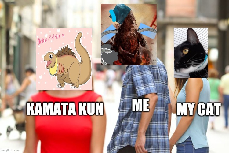 Distracted Boyfriend Meme | ME; MY CAT; KAMATA KUN | image tagged in memes,distracted boyfriend | made w/ Imgflip meme maker