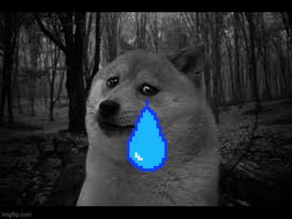 Very sad doge | image tagged in very sad doge | made w/ Imgflip meme maker