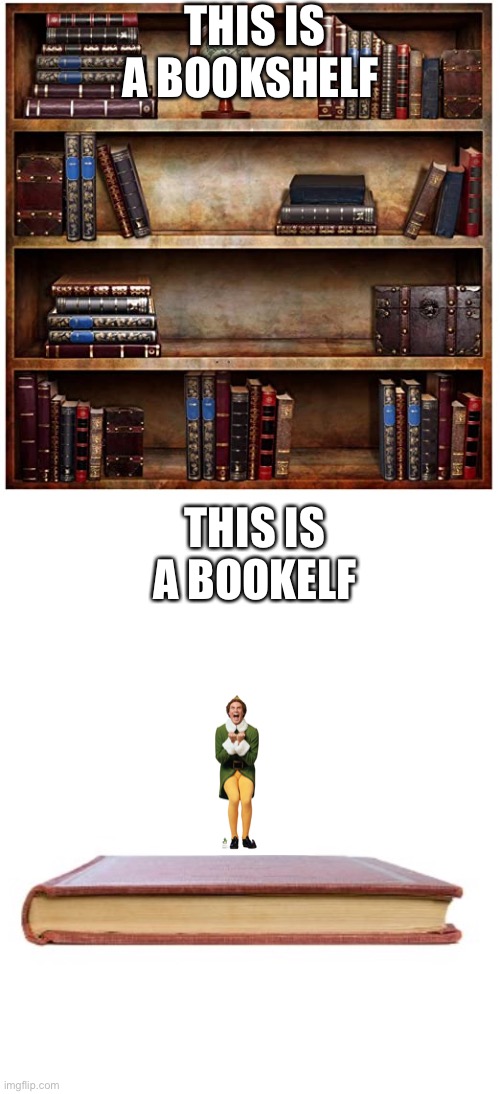 Elves | THIS IS A BOOKSHELF; THIS IS A BOOKELF | image tagged in thick book thin book,bookshelf background | made w/ Imgflip meme maker