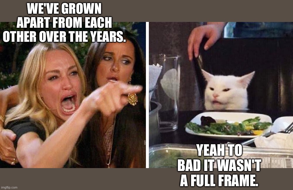 Woman yelling at cat | WE'VE GROWN APART FROM EACH OTHER OVER THE YEARS. YEAH TO BAD IT WASN'T A FULL FRAME. | image tagged in smudge the cat | made w/ Imgflip meme maker