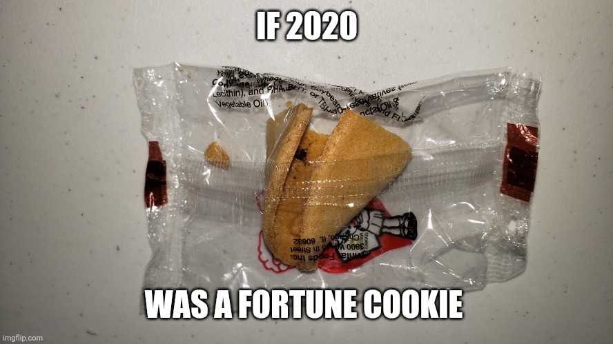 2020 fortune cookie | IF 2020; WAS A FORTUNE COOKIE | image tagged in 2020 fortune cookie | made w/ Imgflip meme maker