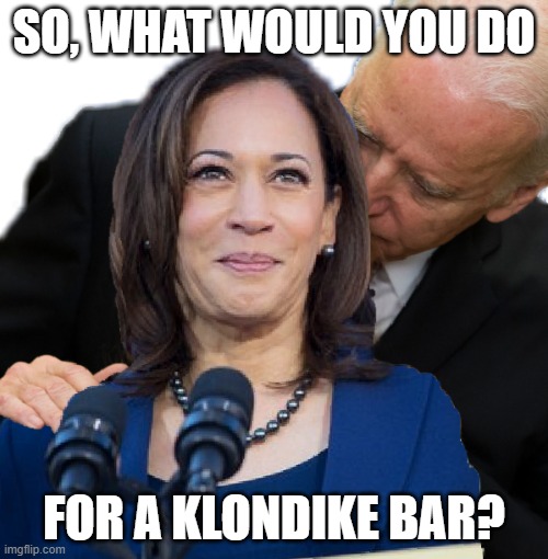 Joe Biden and Kamala Hairs | SO, WHAT WOULD YOU DO; FOR A KLONDIKE BAR? | image tagged in joe biden and kamala hairs | made w/ Imgflip meme maker
