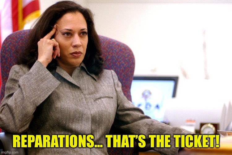 The kamala's plan | REPARATIONS... THAT’S THE TICKET! | image tagged in the kamala's plan | made w/ Imgflip meme maker