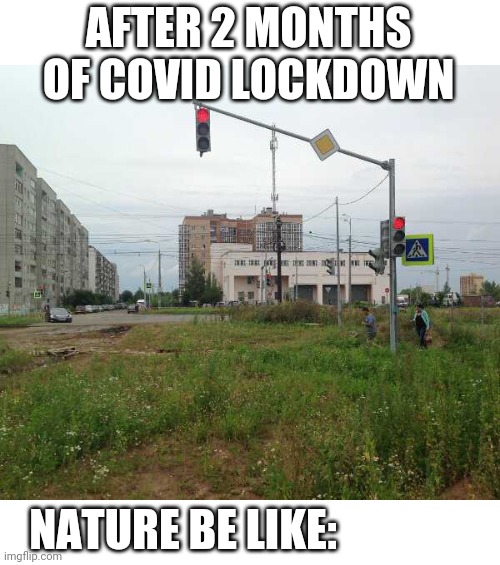 NATURE TAKING IT BACK | AFTER 2 MONTHS OF COVID LOCKDOWN; NATURE BE LIKE: | image tagged in nature,covid-19 | made w/ Imgflip meme maker
