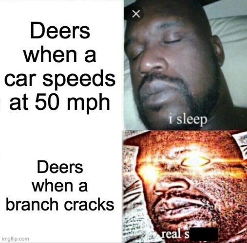 Sleeping Shaq | Deers when a car speeds at 50 mph; Deers when a branch cracks | image tagged in memes,sleeping shaq | made w/ Imgflip meme maker