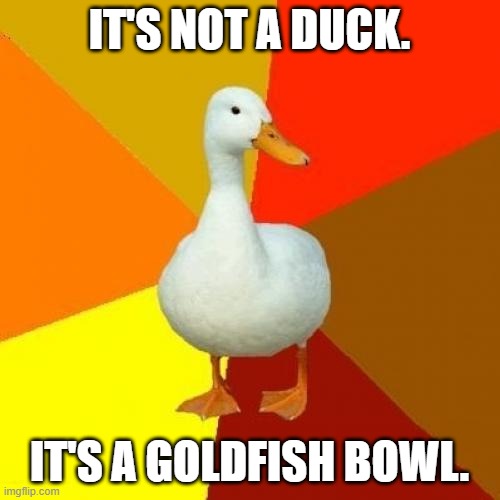 Tech Impaired Duck Meme | IT'S NOT A DUCK. IT'S A GOLDFISH BOWL. | image tagged in memes,tech impaired duck | made w/ Imgflip meme maker