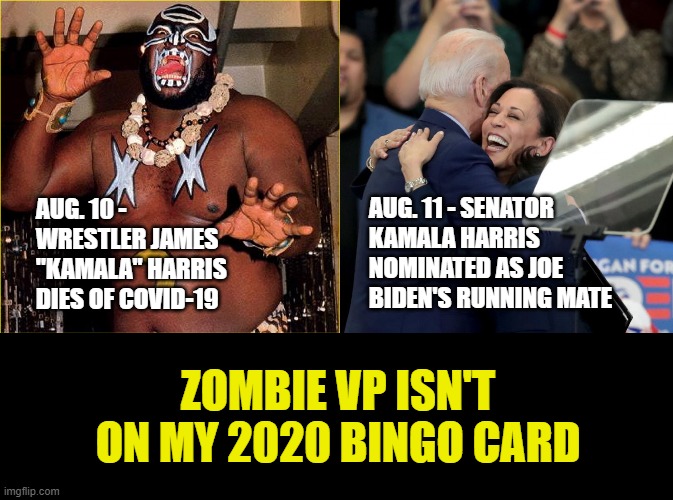 They're going to win even if I don't. Redux meme to fix typo and have a better punchline. | AUG. 11 - SENATOR
KAMALA HARRIS NOMINATED AS JOE BIDEN'S RUNNING MATE; AUG. 10 - WRESTLER JAMES "KAMALA" HARRIS DIES OF COVID-19; ZOMBIE VP ISN'T ON MY 2020 BINGO CARD | image tagged in kamala,joe biden kamala harris,memes,wrestling,zombies | made w/ Imgflip meme maker
