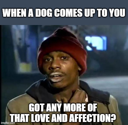 Please I need it | WHEN A DOG COMES UP TO YOU; GOT ANY MORE OF THAT LOVE AND AFFECTION? | image tagged in memes,y'all got any more of that | made w/ Imgflip meme maker