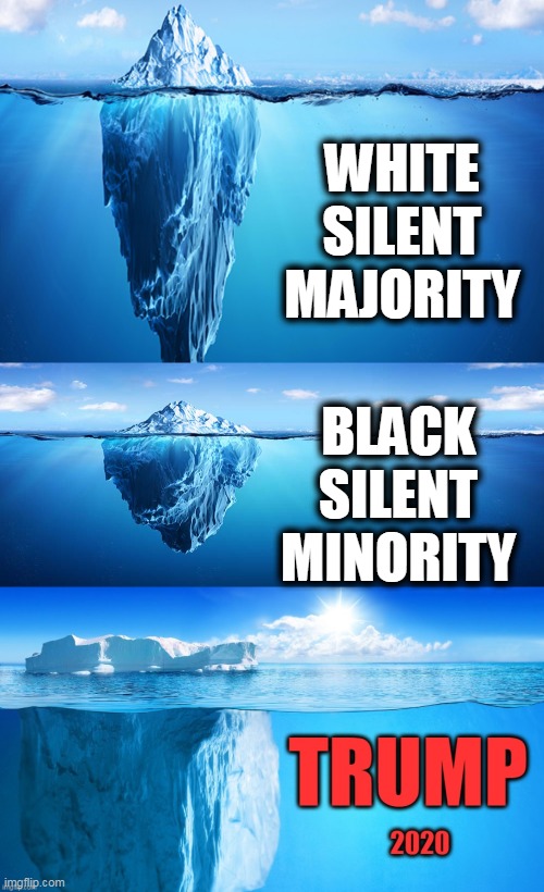 The Silenced Americans | WHITE SILENT MAJORITY; BLACK SILENT MINORITY | image tagged in politics,political meme,donald trump,republican party,donald trump approves,silent majority | made w/ Imgflip meme maker